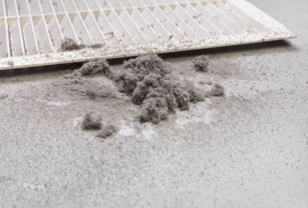 Best Air Quality Test  in Cadillac, MI