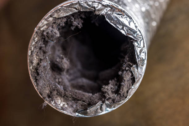 Best Affordable Air Duct Cleaning  in Cadillac, MI