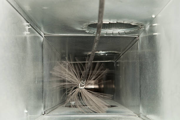 Best Air Duct Mold Removal  in Cadillac, MI